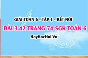 Giải bài 3.42 trang 74 Toán 6 Tập 1 SGK Kết nối tri thức